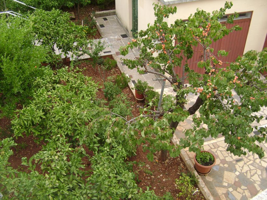Apartmani Tome Zadar Exterior foto